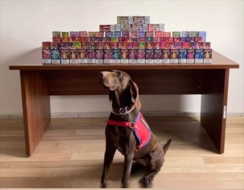 Bolu'da Kaçak Elektronik Sigara Operasyonunda 1 Kişi Gözaltına Alındı