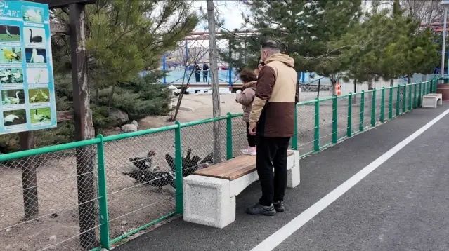 Kayseri Hayvanat Bahçesi Ramazan Bayramı’nda 40 Bin Kişiyi Ağırladı
