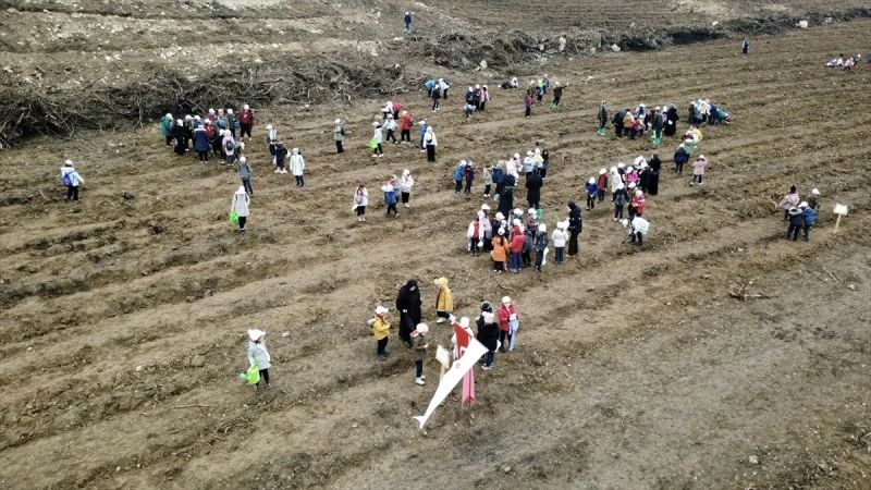 Karabük'te Orman Yangını Sonrası 2.026 Fidan Toprakla Buluştu