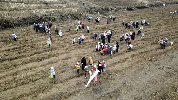 Karabük'te Orman Yangını Sonrası 2.026 Fidan Toprakla Buluştu