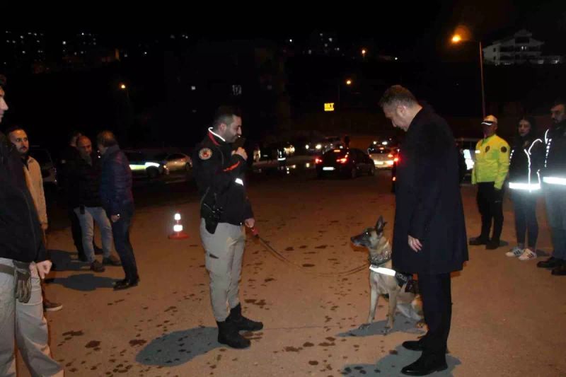 Şırnak'ta 700 Polisle Eş Zamanlı 'Narko Alan' Operasyonu Gerçekleştirildi