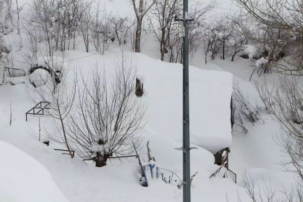 Bingöl Karlıova'da Kar ve Tipi 35 Köy Yolunu Kapattı