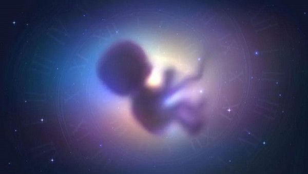 Uzayda Yerküresel Yerçekimi Olmadan Sperm Hücreleri Hedeflerini Kaybediyor