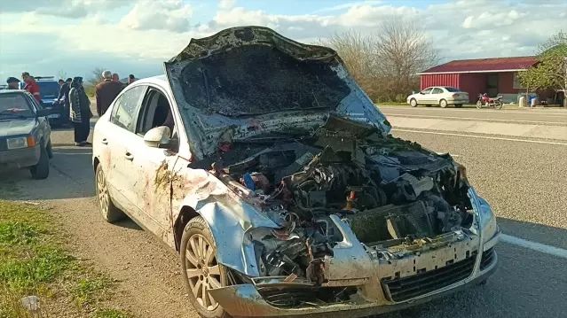 Kozan’da Otomobil Koyun Sürüsüne Çarptı: 7 Koyun Telef Oldu